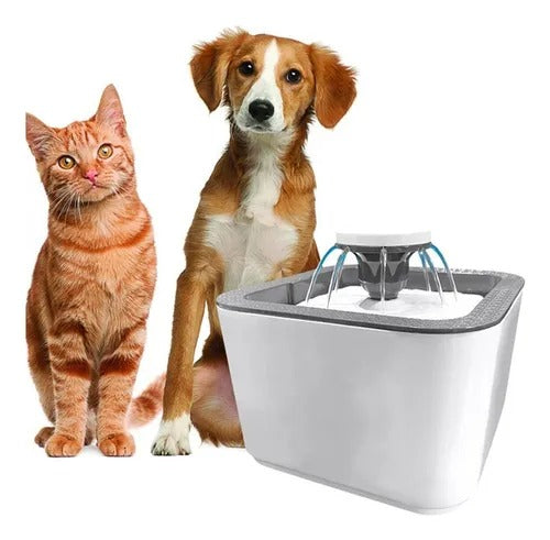 Bebedero Fuente para Mascotas